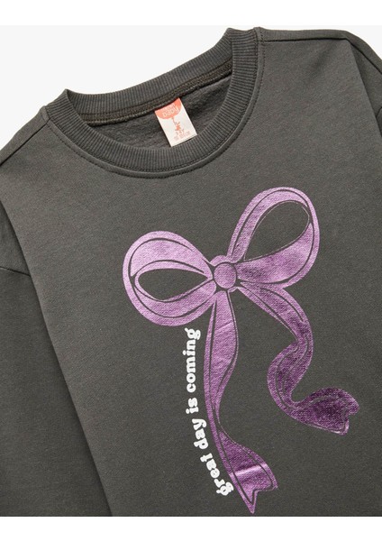 Şardonlu Bisiklet Yaka Fiyonk Baskılı Antrasit Kız Bebek Sweatshirt 6WMG10102AK modelleri