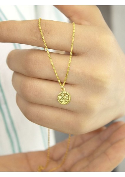 14 Ayar Altın Küçük Boy Tuğra Kolye fiyatları