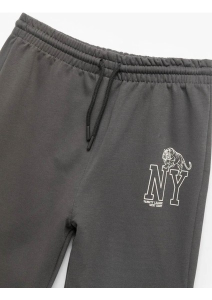 Pamuklu Baskı Detaylı Şardonlu Jogger Antrasit Erkek Çocuk Eşofman Altı 6WKB40037TK modelleri