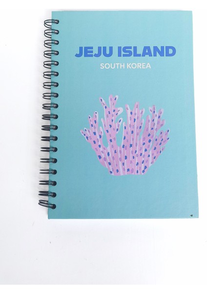 Jeju Island Spiralli Defter