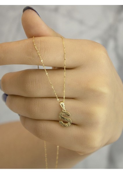 ZEYNEPLİ GOLD 14 Ayar Altın Küçük Füzyon S Harfli Kolye fırsatları