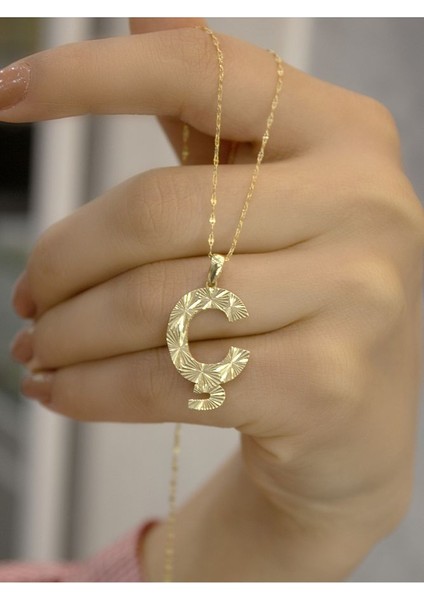 14 Ayar Altın Füzyon Ç Harfli Kolye fırsatları