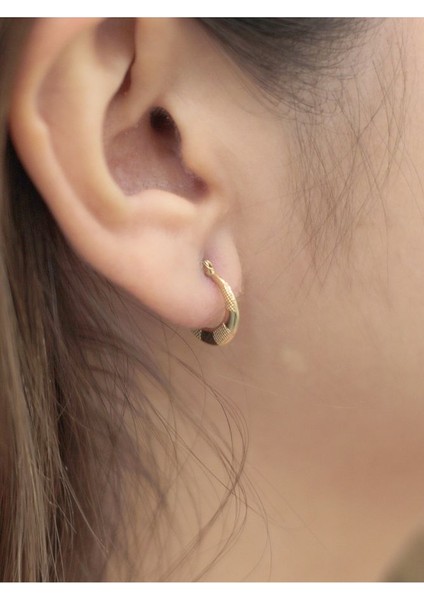 14 Ayar Altın Pattern And Soft Küpe fiyatları