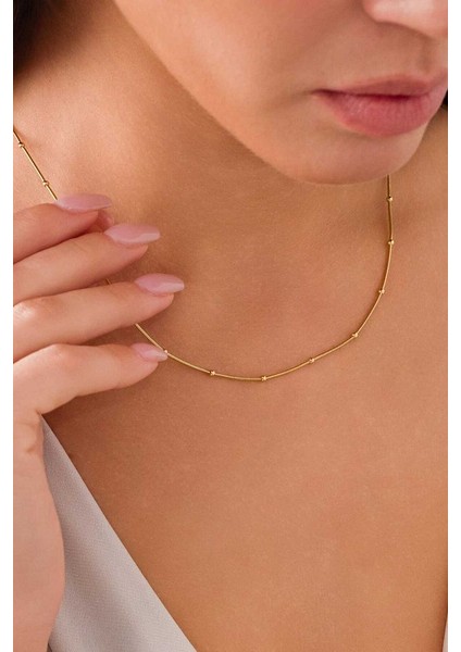 14 Ayar Altın Toplu Tondo Balık Sırtı fiyatları