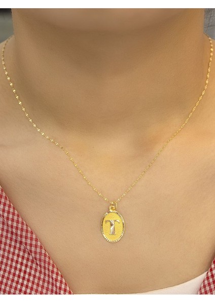 14 Ayar Altın Aynalı Oval T Harfli Kolye