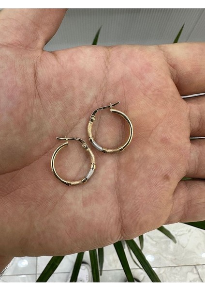 14 Ayar Altın 3 Renkli Küçük Halka Küpe