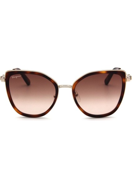 Sf 293S C723 Kadın Güneş Gözlü fiyatları