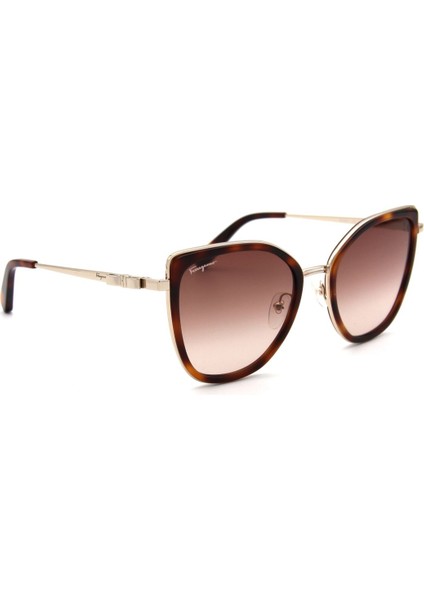 Sf 293S C723 Kadın Güneş Gözlü modelleri