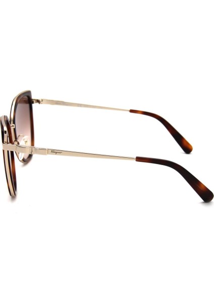 Sf 293S C723 Kadın Güneş Gözlü fırsatları