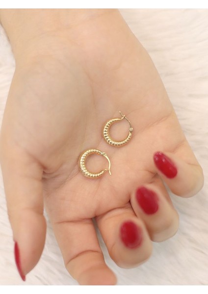 14 Ayar Altın Ince Midye Küpe modelleri