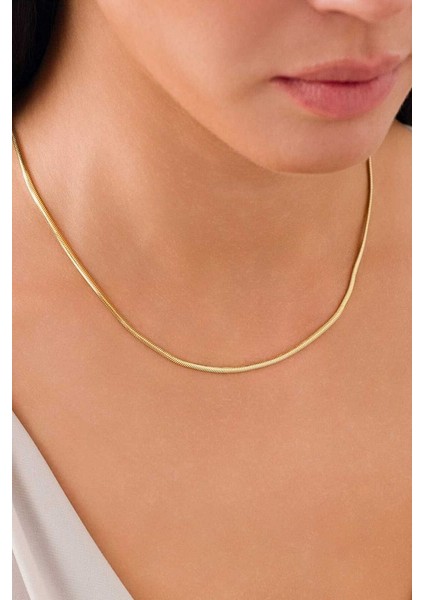 14 Ayar Altın Balık Sırtı Kolye fiyatları