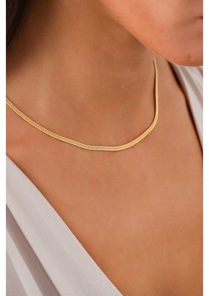 14 Ayar Altın Yassı Balık Sırtı Kolye fırsatları