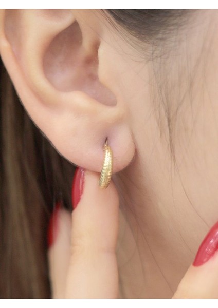 14 Ayar Altın Bombeli Midye Küpe