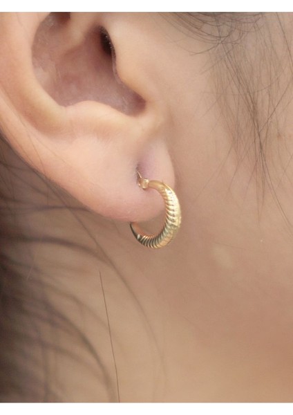 14 Ayar Altın Bombeli Midye Küpe fiyatları