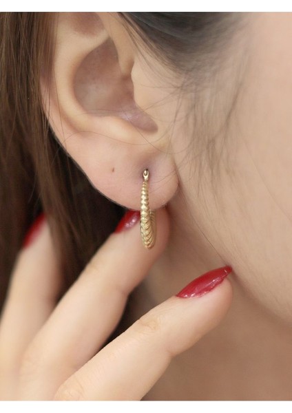 14 Ayar Altın Orta Boy Midye Küpe