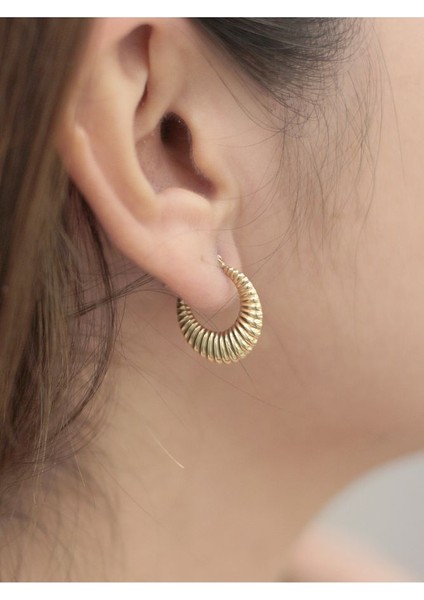 14 Ayar Altın Orta Boy Midye Küpe fiyatları