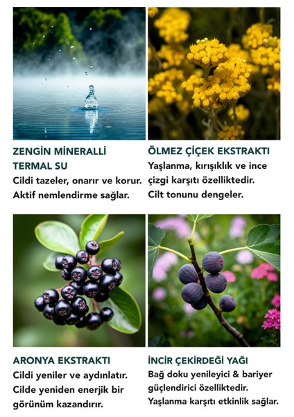 Yaşlanma & Kırışıklık Karşıtı Onarıcı Zengin Krem / Antiage Global 50 ml Yeniden Enejik ve Canlı Cilt Görünümü fırsatları