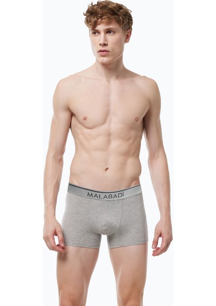 Erkek Gri Premium Collection Modal Boxer 252