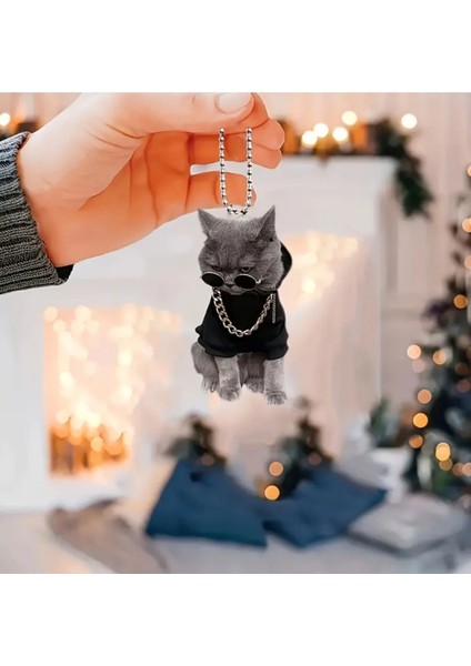 Cool Gözlüklü Kedi 2d Akrilik Asma Süs modelleri