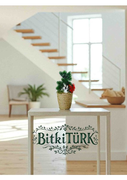 -Yapay Orman Dekoratif Saksıda Iç Mekan Ofis Cafe Hediye modelleri