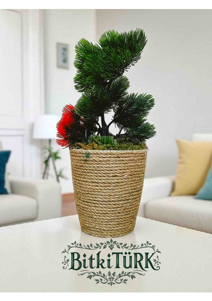 -Yapay Orman Dekoratif Saksıda Iç Mekan Ofis Cafe Hediye fırsatları