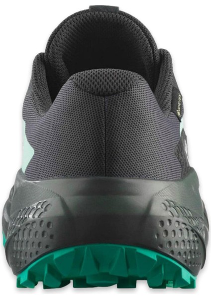 Alphaglide Gore-Tex Kadın Koşu Ayakkabısı fırsatları