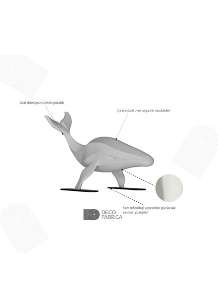 Balina Biblo fiyatları