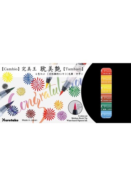 Cambıo Tambıen Pen 6 Lı Set X050T/6VA