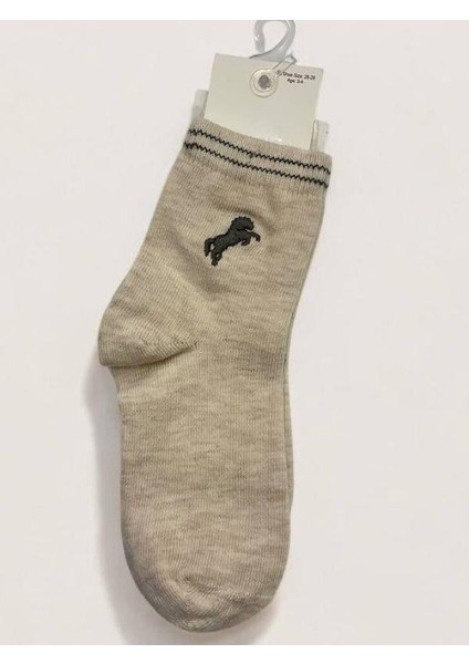 Erkek Çocuk At Işlemeli Soket Çorap modelleri