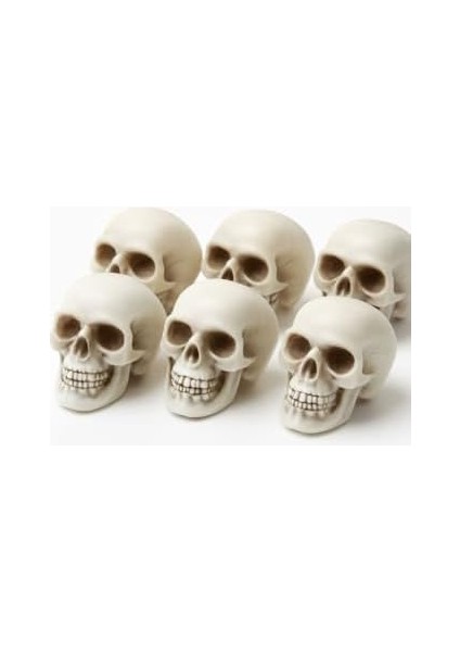 Halloween Cadılar Bayramı Kuru Kafa 6 Lı Beyaz fiyatları