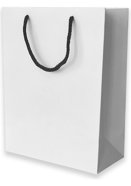 10 Adet Beyaz Karton İpli Çanta (20.5X25.5X10) modelleri