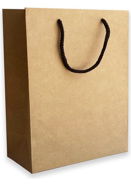10 Adet Kraft Karton Çanta (20.5X25.5X10) fiyatları