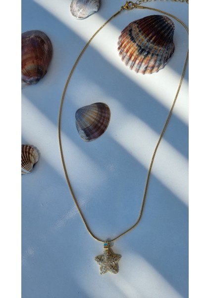 Zirkon Taşlı Yıldız Çelik Kolye Altın Rengi