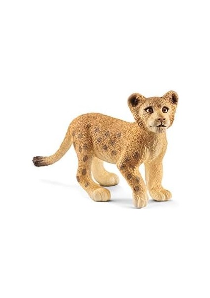 Life-Yavru Aslan fiyatları