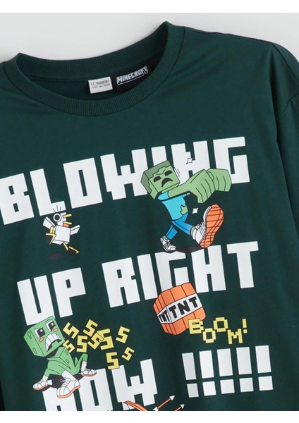 Bisiklet Yaka Minecraft Baskılı Erkek Çocuk Tişört (W5) fiyatları