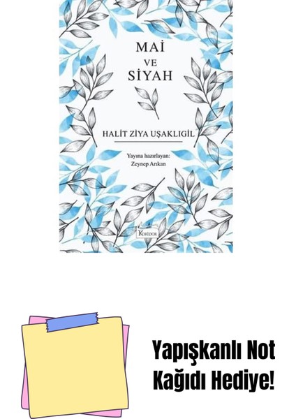 Mai ve Siyah - (Bez Ciltli) + Yapışkanlı Not Kağıdı