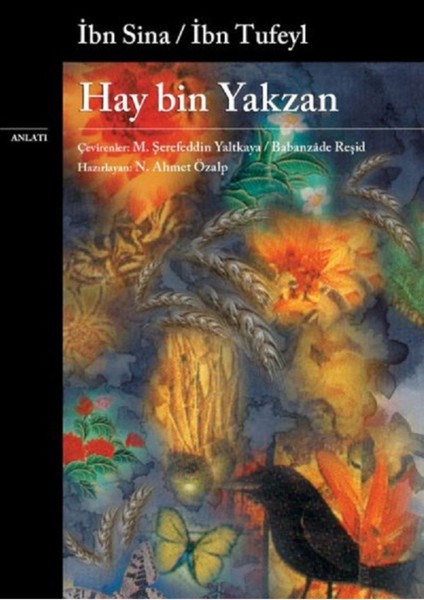 Hay Bin Yakzan - Ibni Sina / Ibn Tufeyl | Popüler Kitaplar modelleri