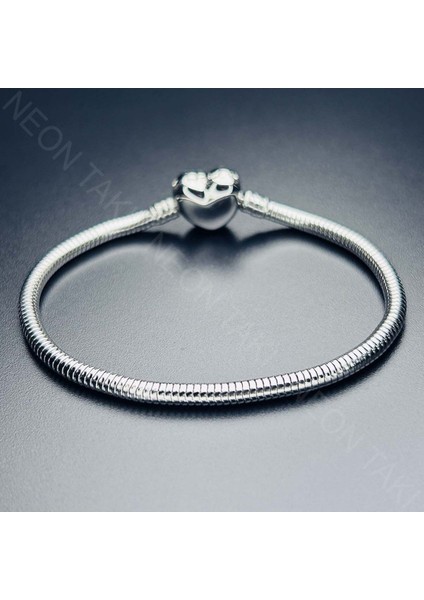 , Duyarlılık Etiketi ve Charm Taşıyıcı Paslanmaz Bileklik 139, Kalp Klipsli 19cm fırsatları
