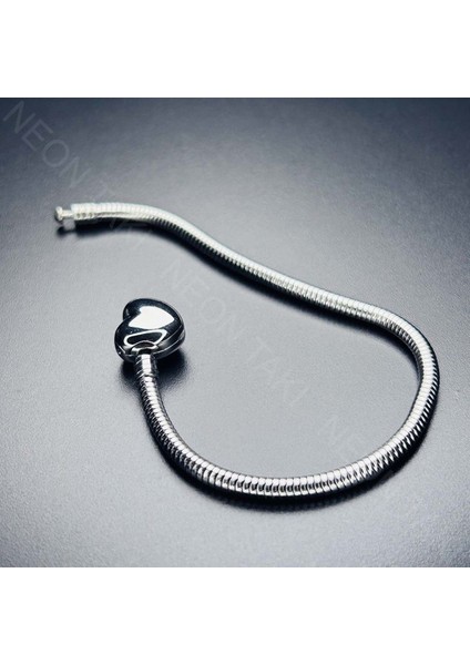 , Duyarlılık Etiketi ve Charm Taşıyıcı Paslanmaz Bileklik 139, Kalp Klipsli 19cm indirimleri