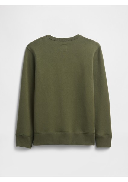 Erkek Çocuk Yeşil Gap Logo Sweatshirt modelleri