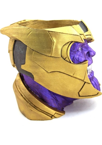 Polyester Thanos Kalemlik fiyatları