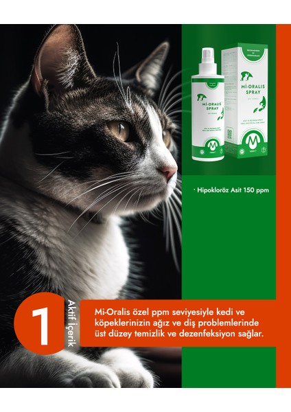 Kedi Köpek Ağız ve Diş Bakım Spreyi 100 ML Hipokloröz Asit Mi-Oralis fiyatları