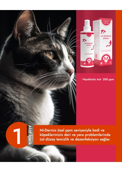 Kedi Köpek Yara ve Deri Bakım Spreyi 100 ML Hipokloröz Asit Mi-Dermis fiyatları