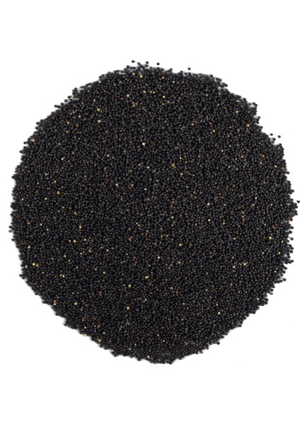 SIYAHHARDALTOHUMU(BRASSICANIGRA)50GR