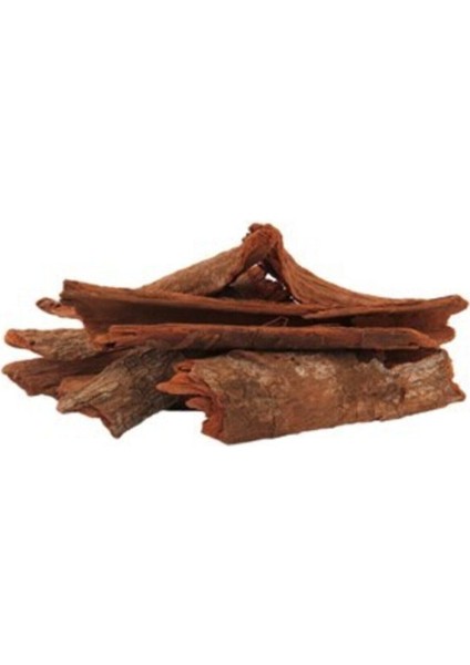 KINAKINAKABUK50GR