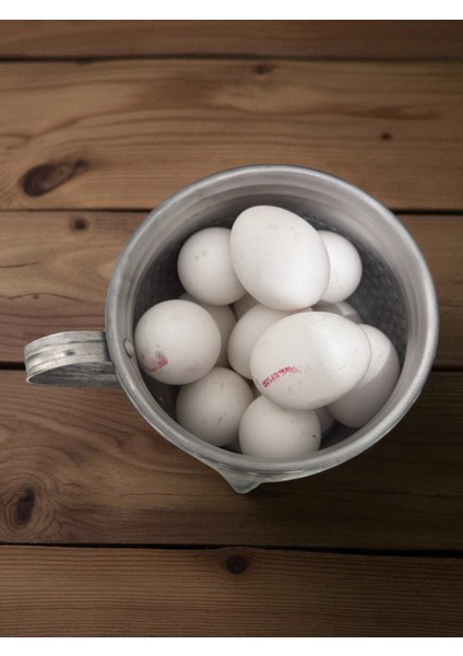 2'li Alüminyum Büyük Yumurta Haşlama Kabı 8-10 Yumurta Kapasiteli 14CM 2 Adet modelleri