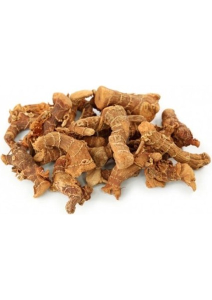 Havlıcan Kök (Alpinia Officinarum) 500 gr