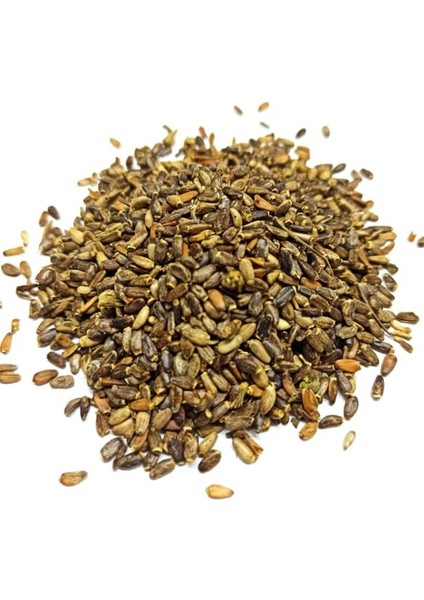 Deve Dikenı Tohum (Sılybum Marianum) 50 gr