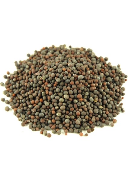 Hardal Tohumu Siyah 50 gr