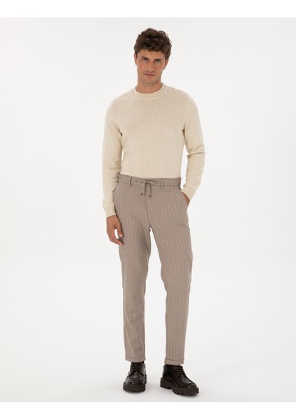 Erkek Bej Çizgili Carrot Fit Beli Lastikli Kordonlu Kanvas Pantolon 50310891-VR011